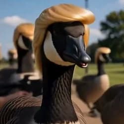 DONALD DUCK token image