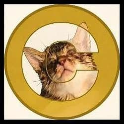 Catecoin Base token image