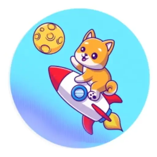 Rocketcatcoin token image
