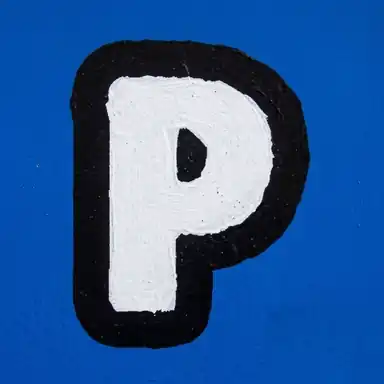 B20PUNK token image