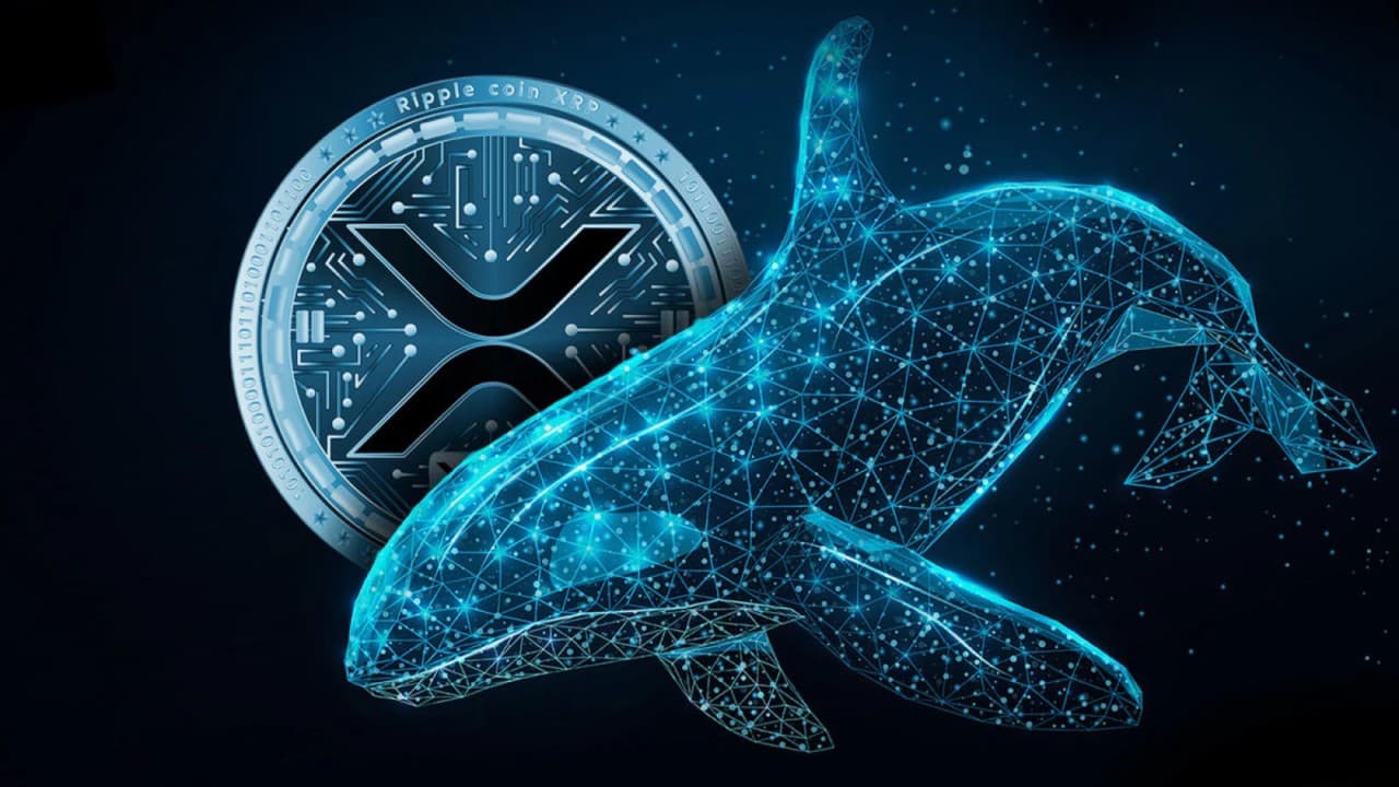 zopcoin token image