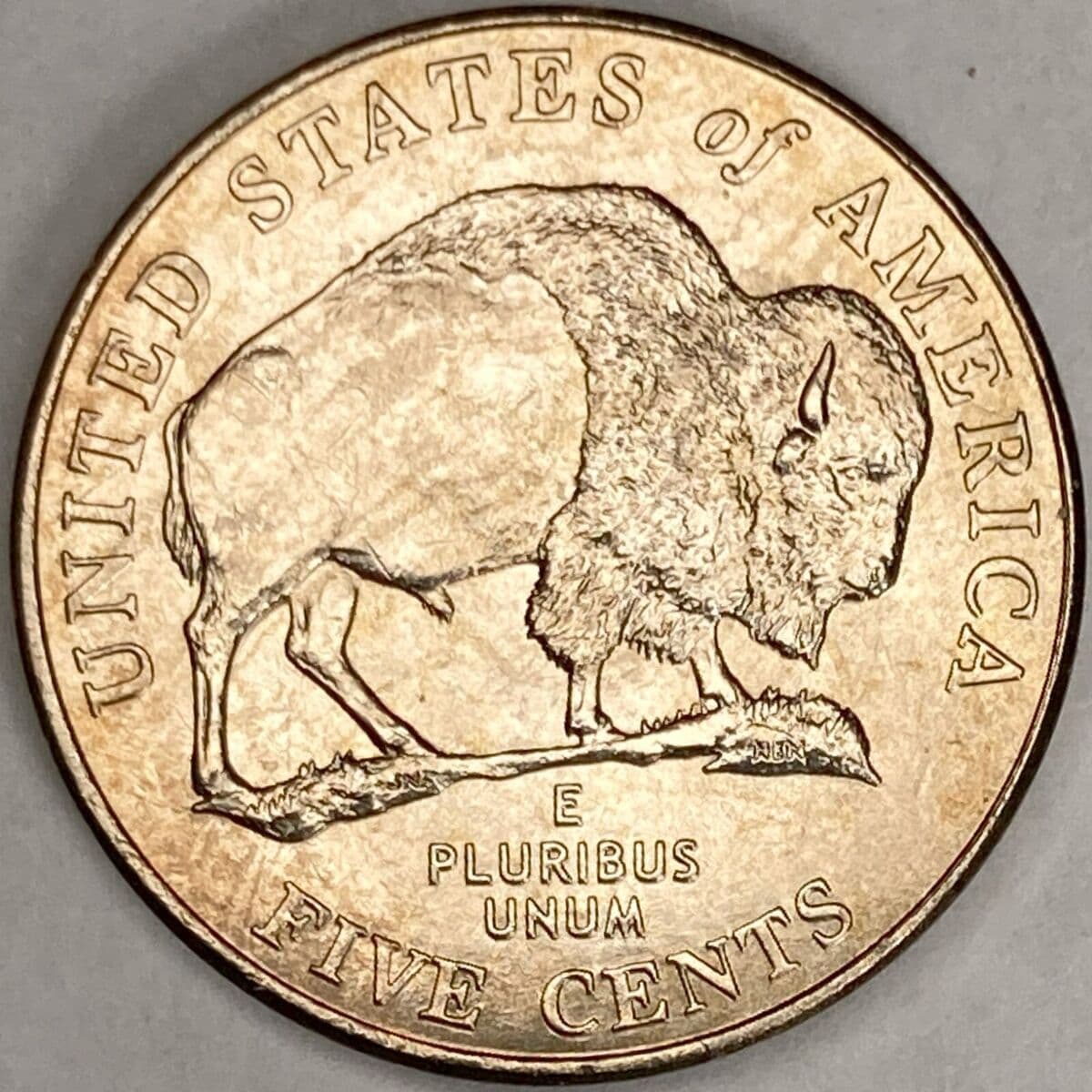 bisoncoins token image