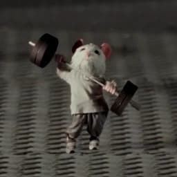 Based Pip token image