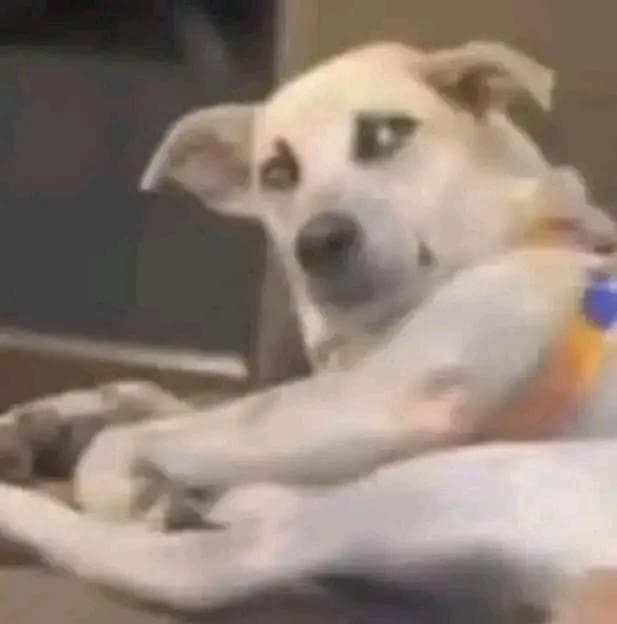 No Moon? token image