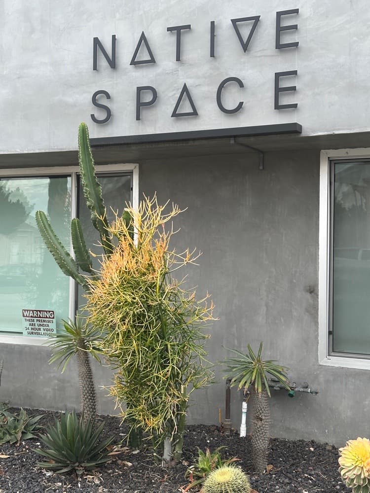 Native Space token image