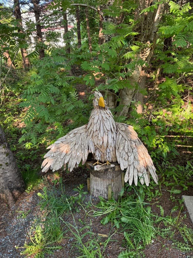 Eagle Pass token image