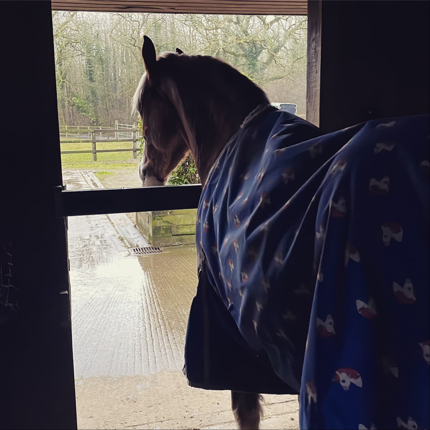 Horse Stable token image