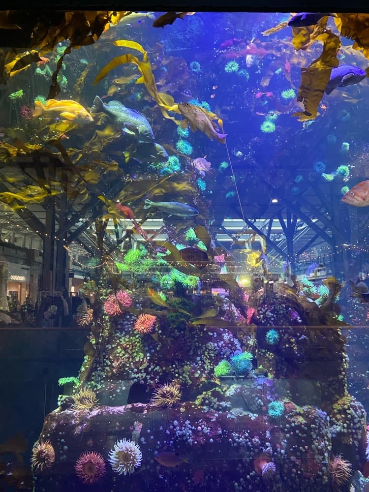 Underwater Scene token image