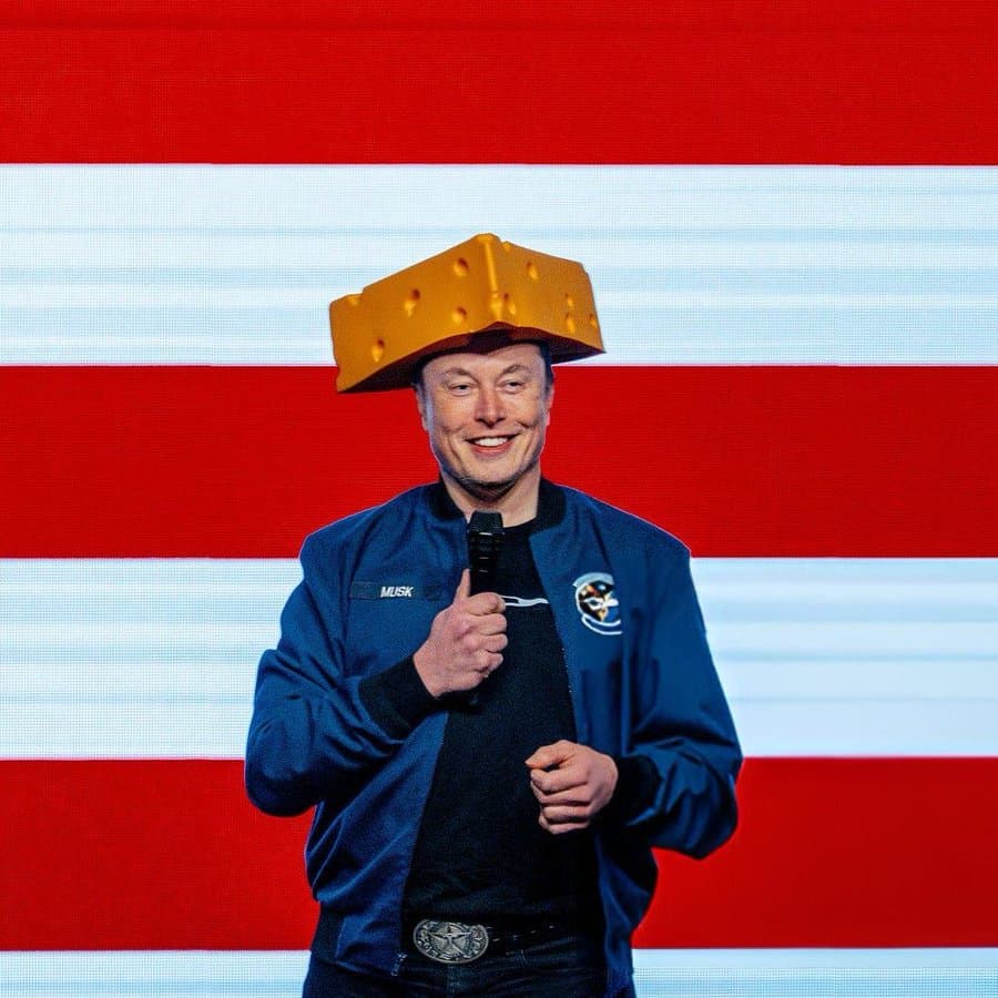 Elon Wif Cheese token image