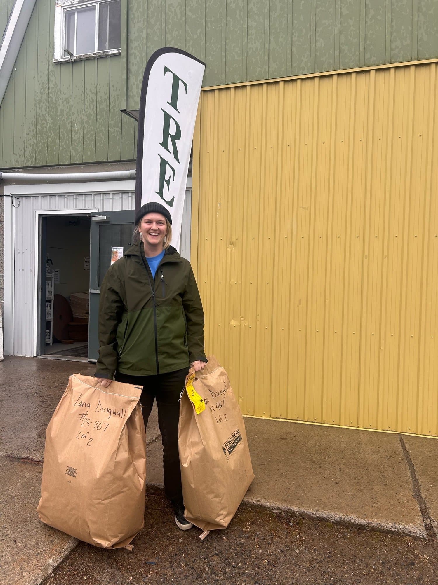 Pine Reforestation token image