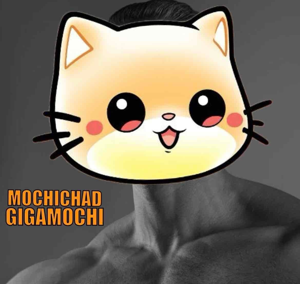 CAT MEOW token image