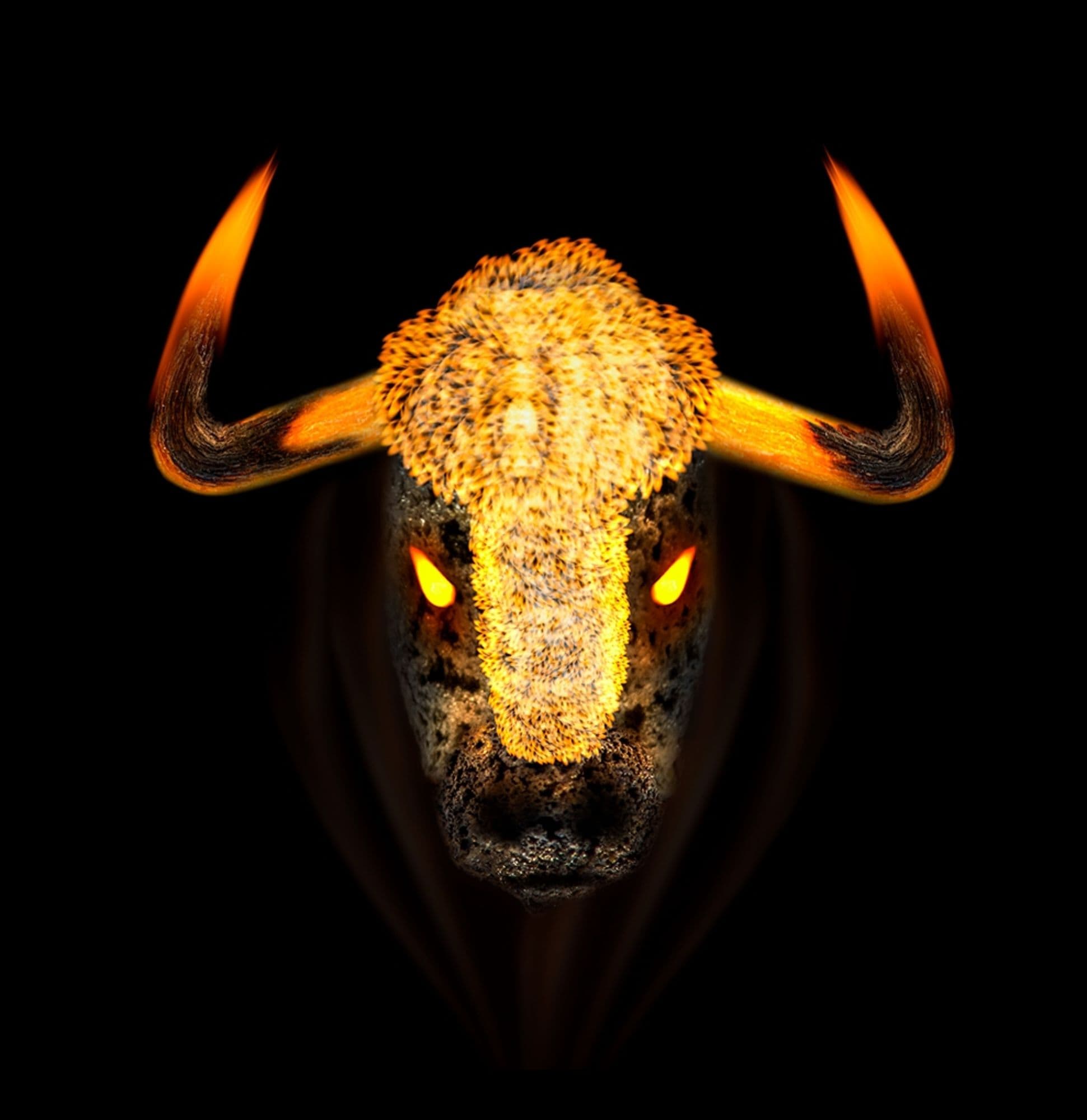 Fiery Bull token image