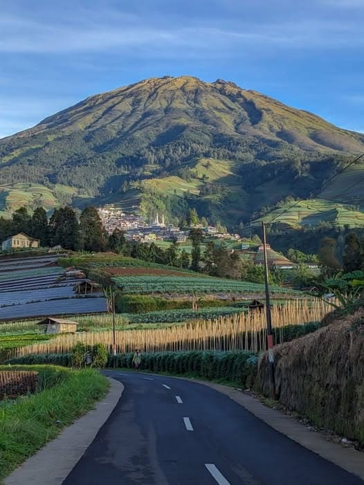 Jesse Card token image