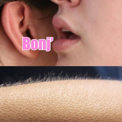 bonj token image
