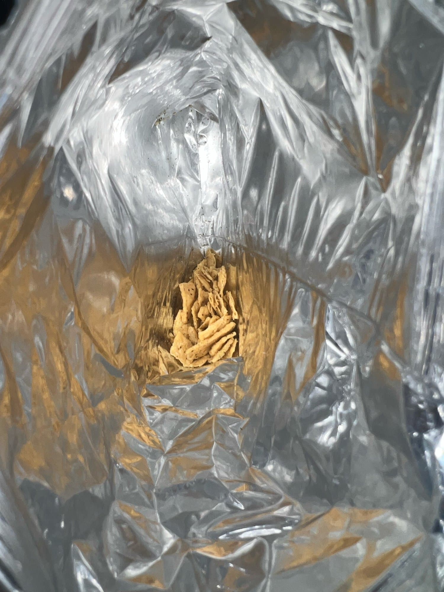 Chip Chug token image