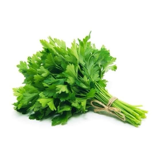 Cilantro token image
