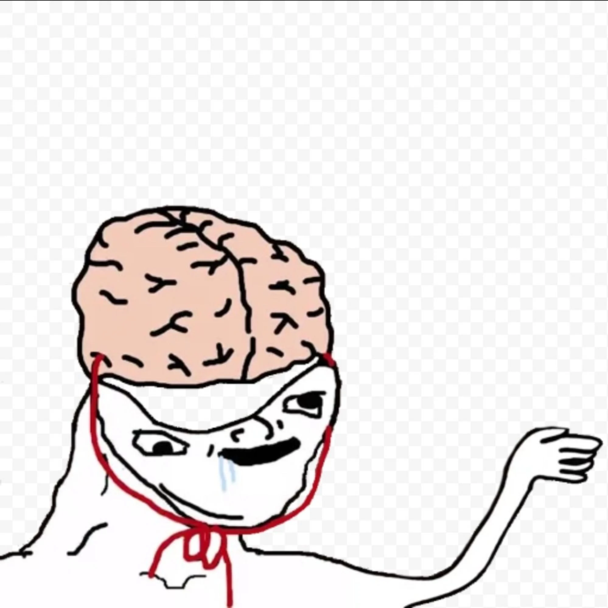 Stupid Token token image