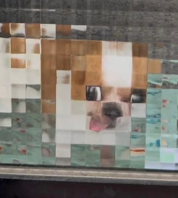 Low Res Dog token image