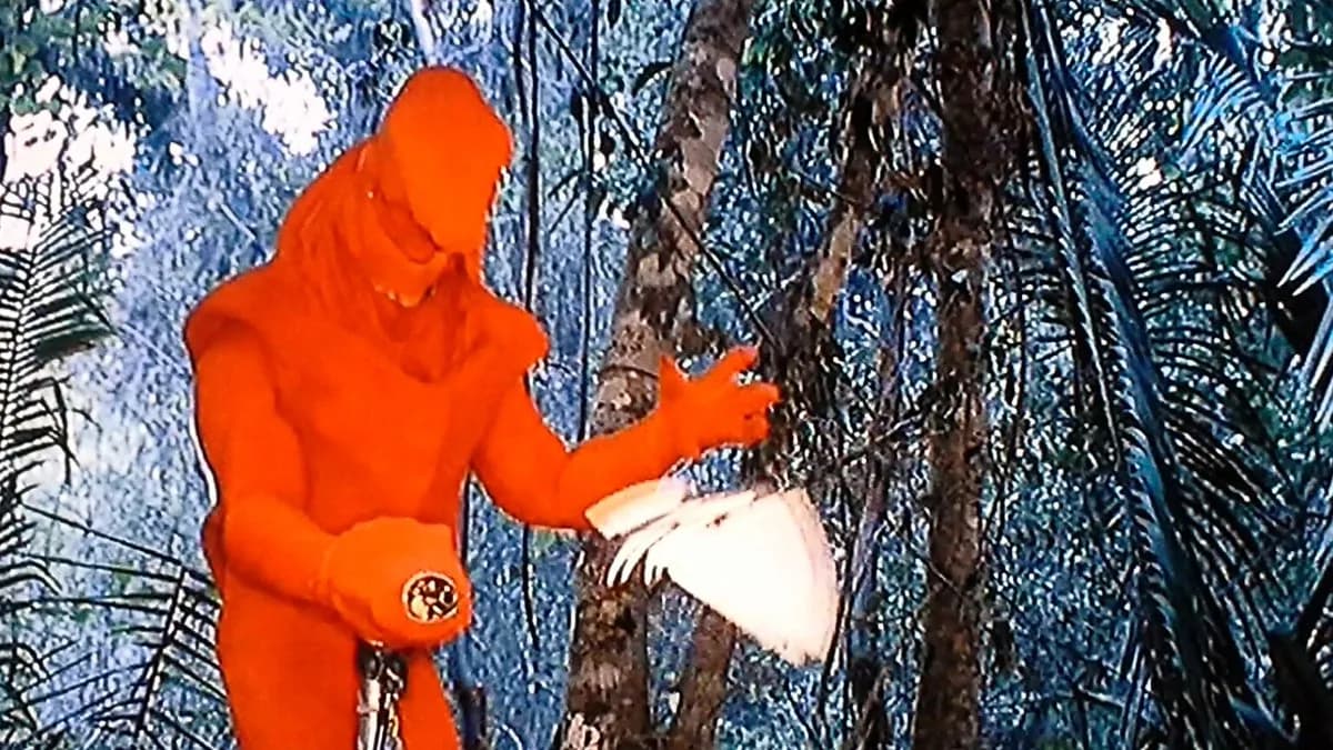 jean-clawed van damme token image