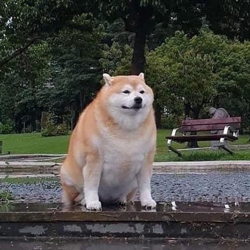 GIGA SHIBA token image