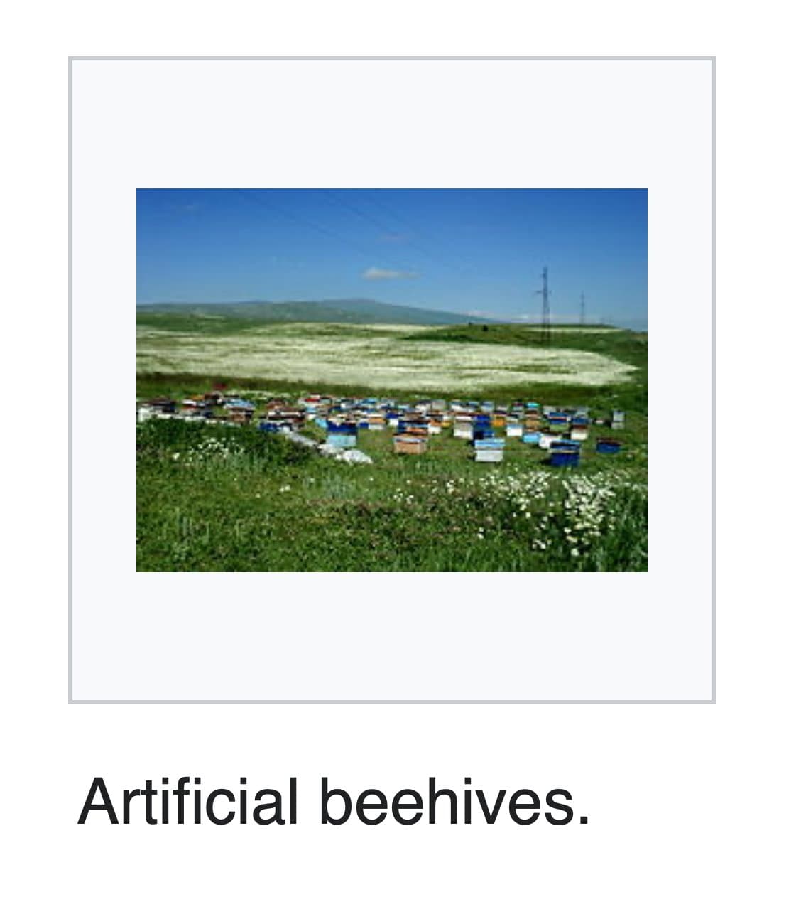 Artificial beehives token image