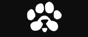 BASE_PAWS token image