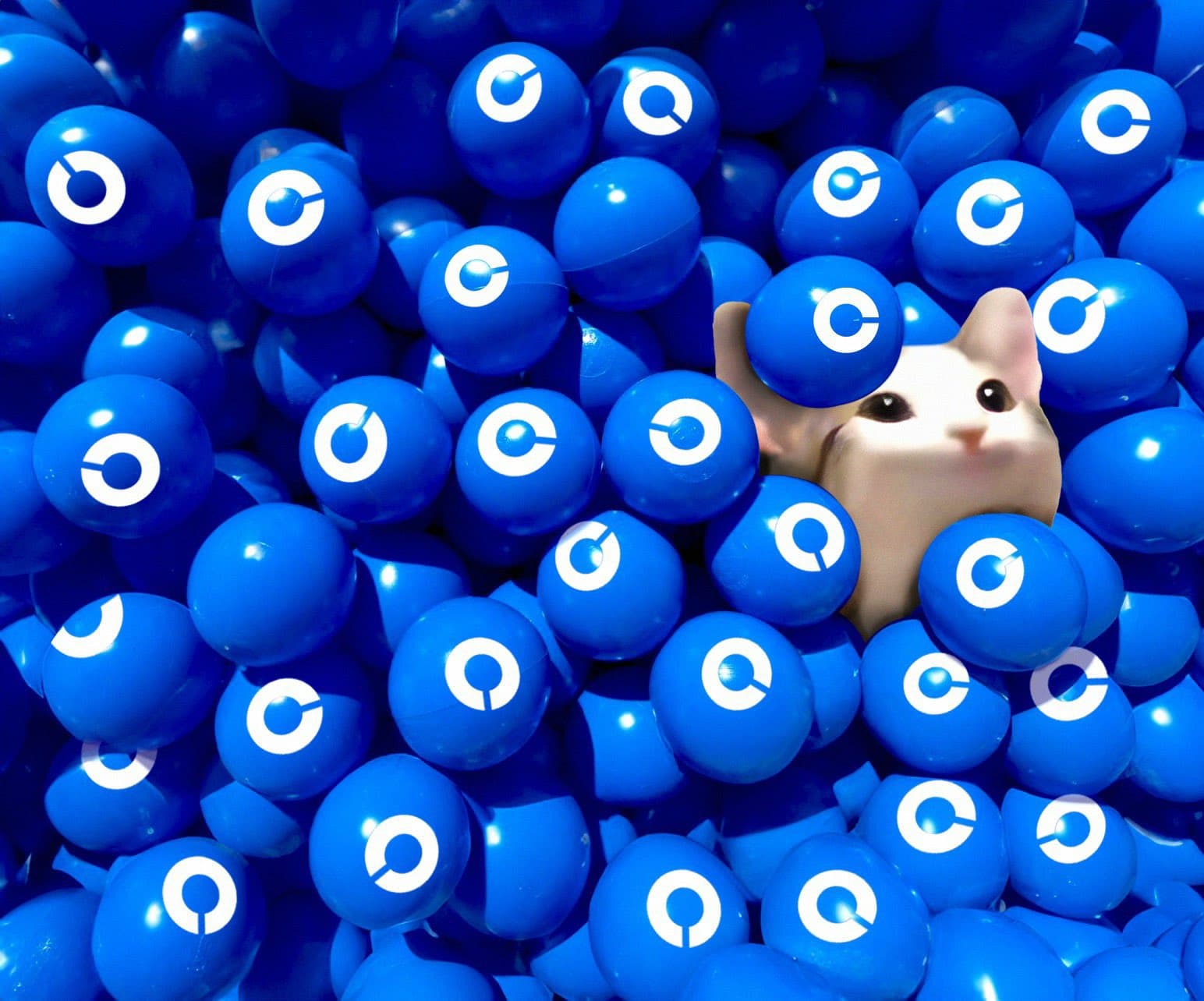 Popcat token image