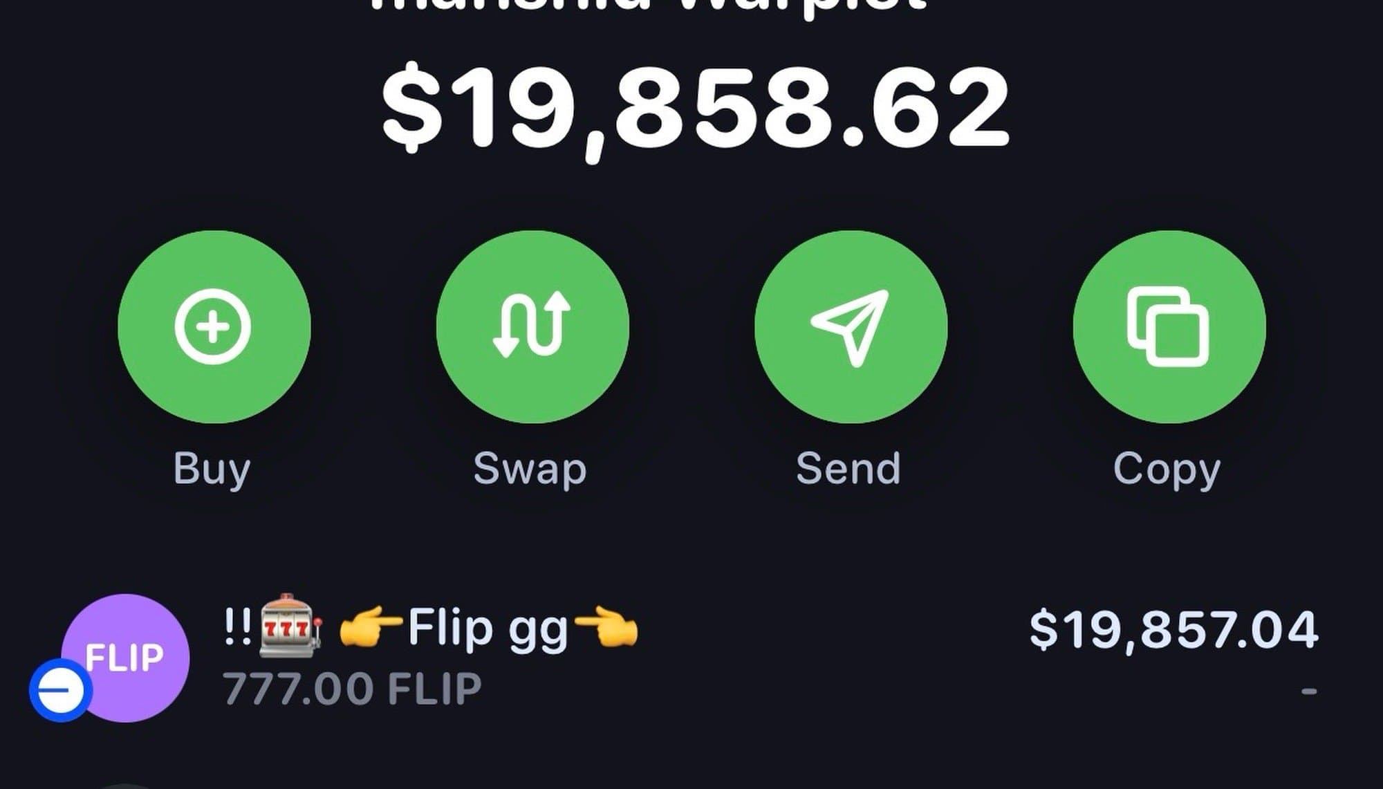 A bug made me rich token image