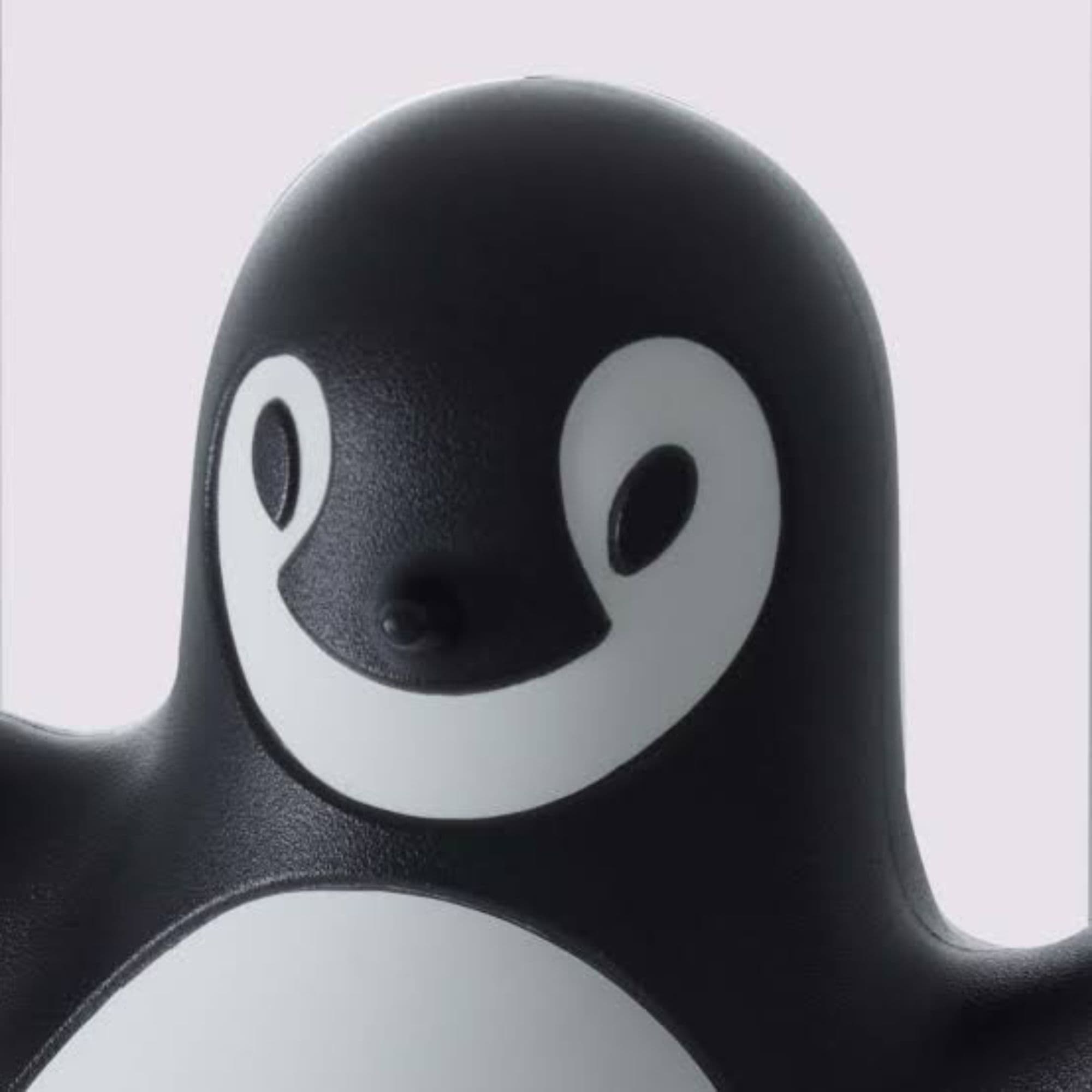 PINGY token image