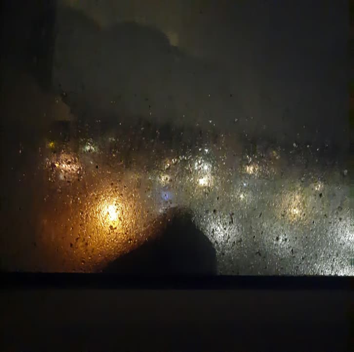 Pigeon in Rain 2 token image
