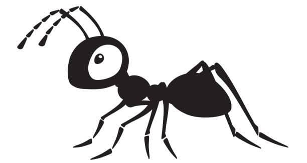 LITTLE ANT token image