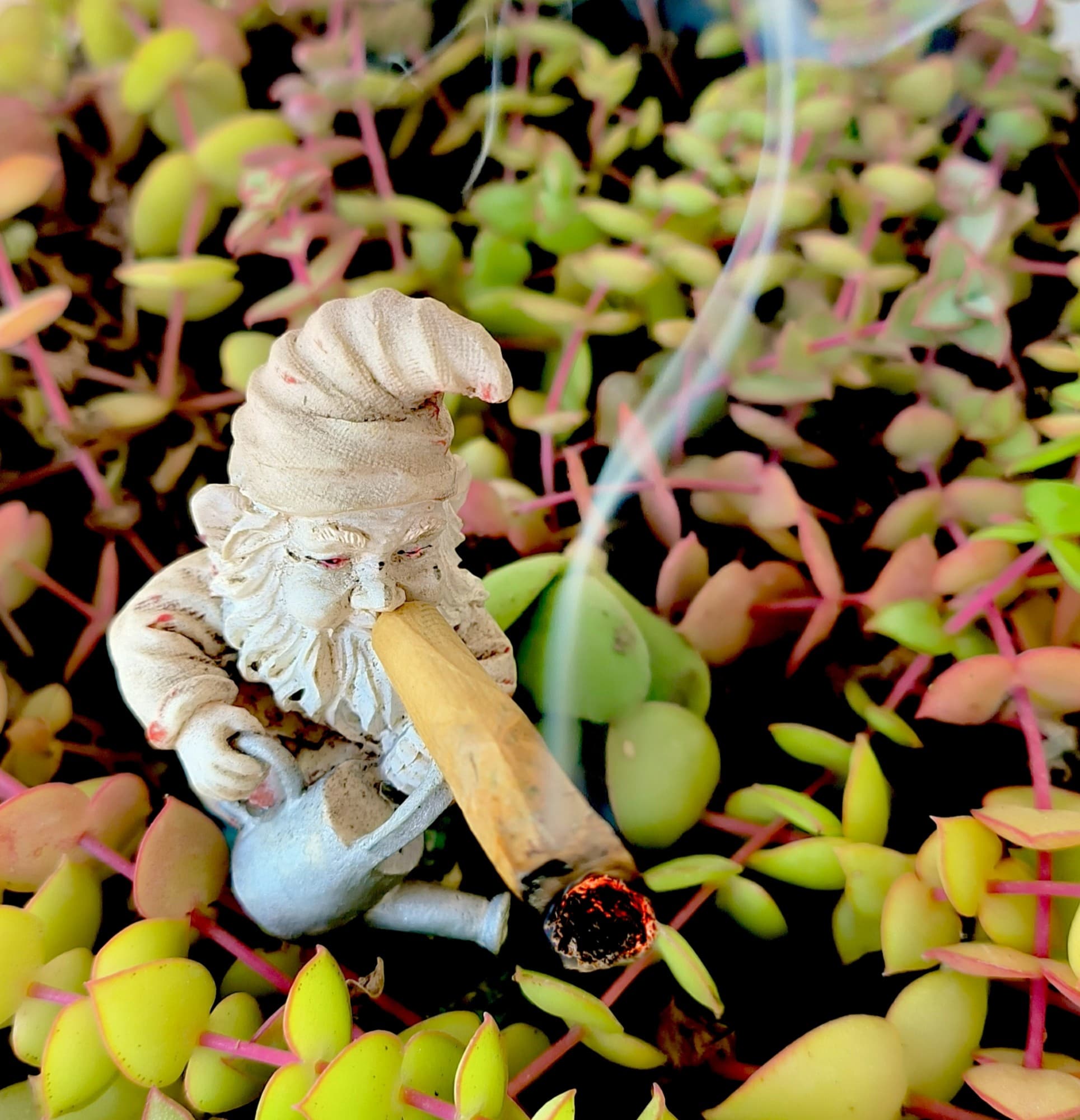 Hignome token image