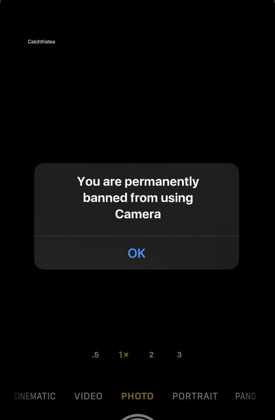 Base Penguins token image