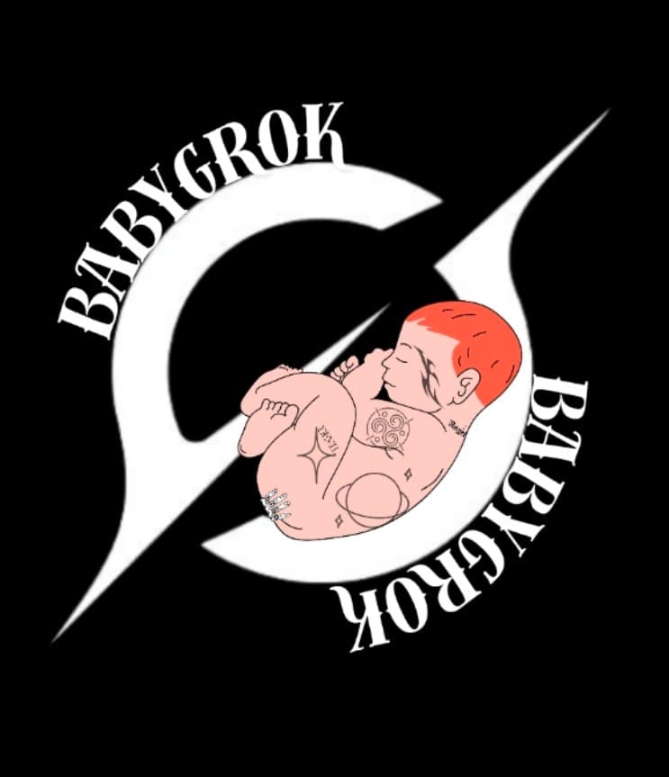 Baby Grok token image