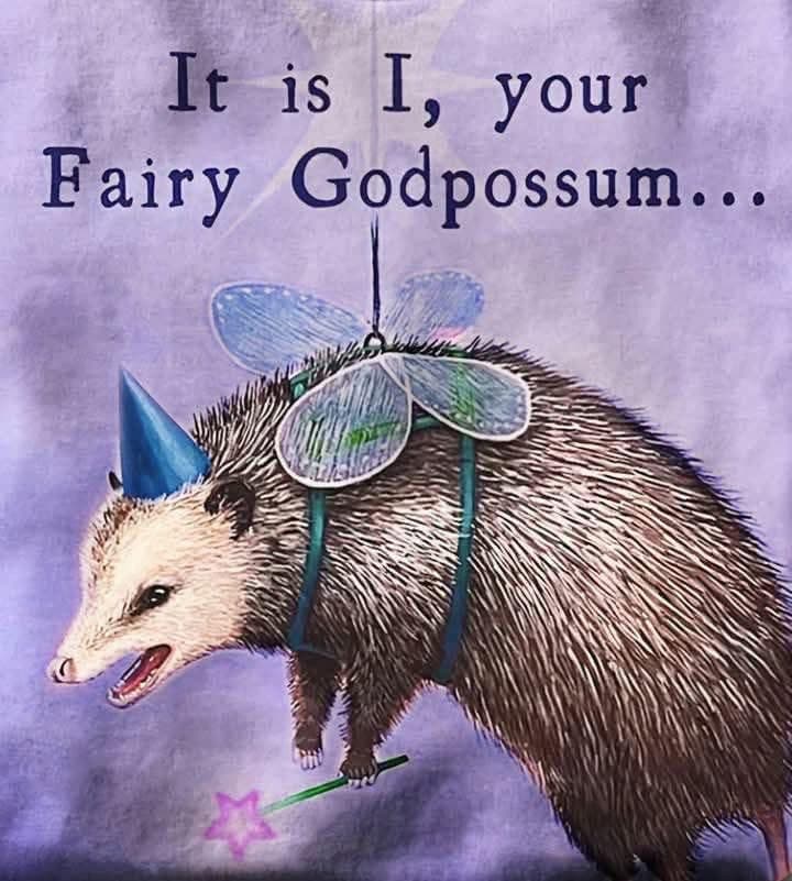 Fairy Godpossun token image
