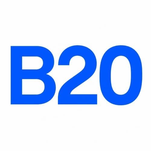 B20 Lite token image