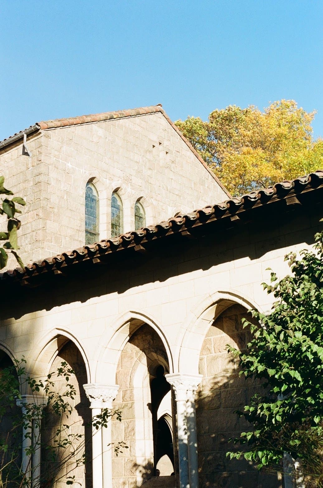 Serene Shade token image