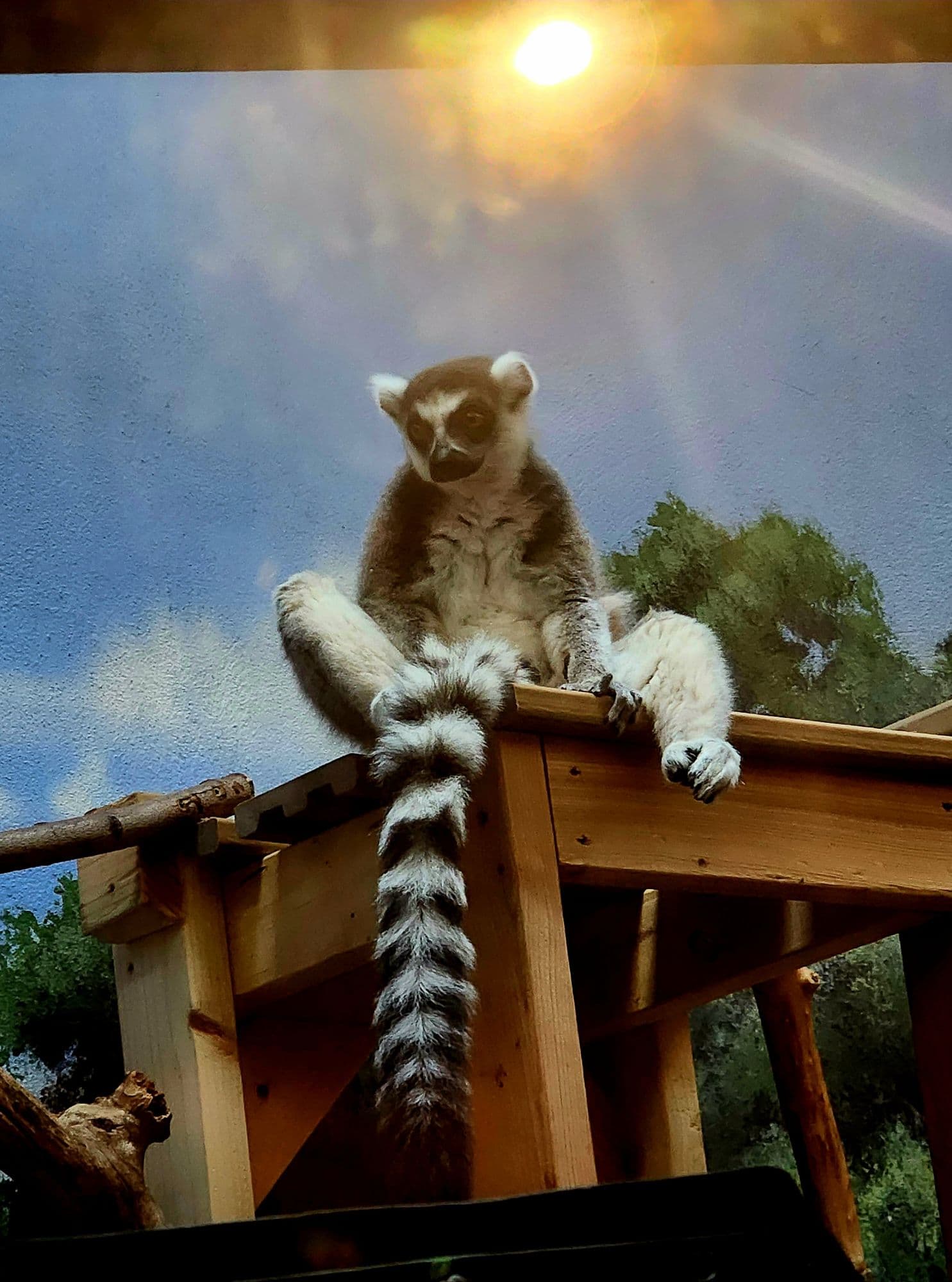 The God of Furry Porn token image