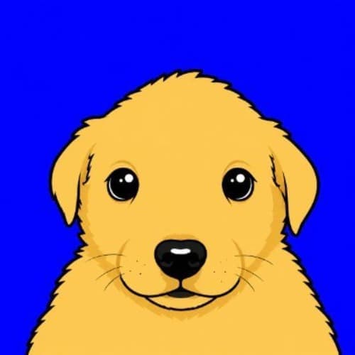 JOTCHUABASE token image