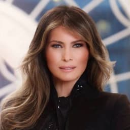 Based Melania token image