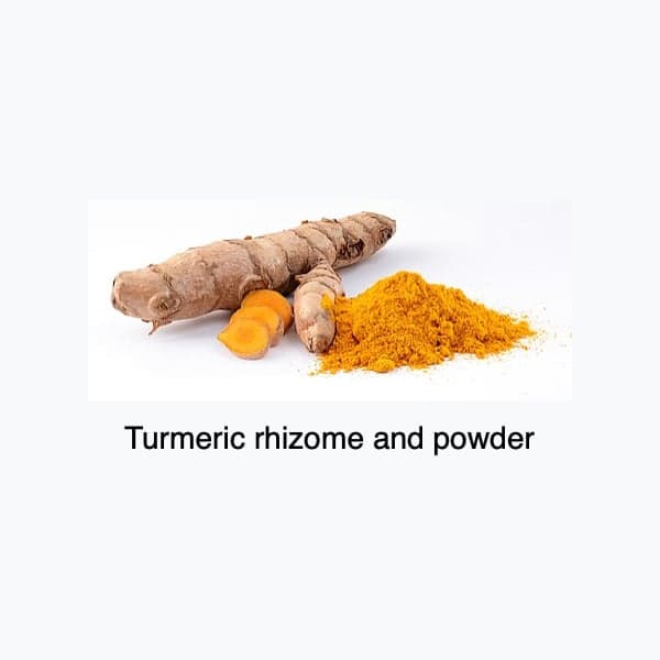 Turmeric token image