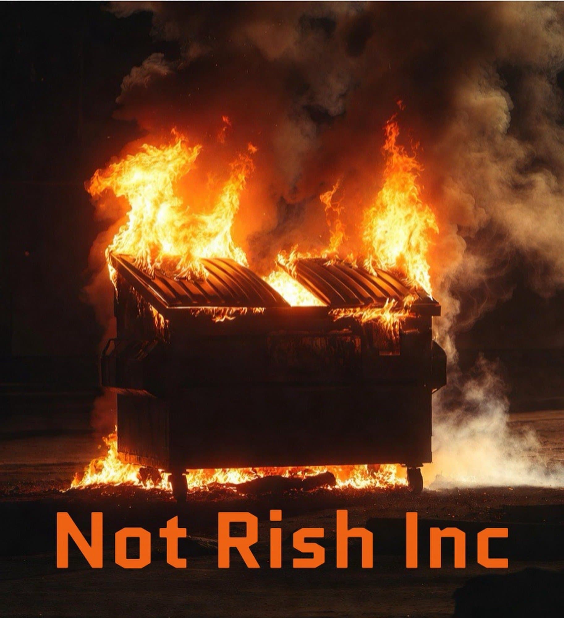 Not Rish Inc token image