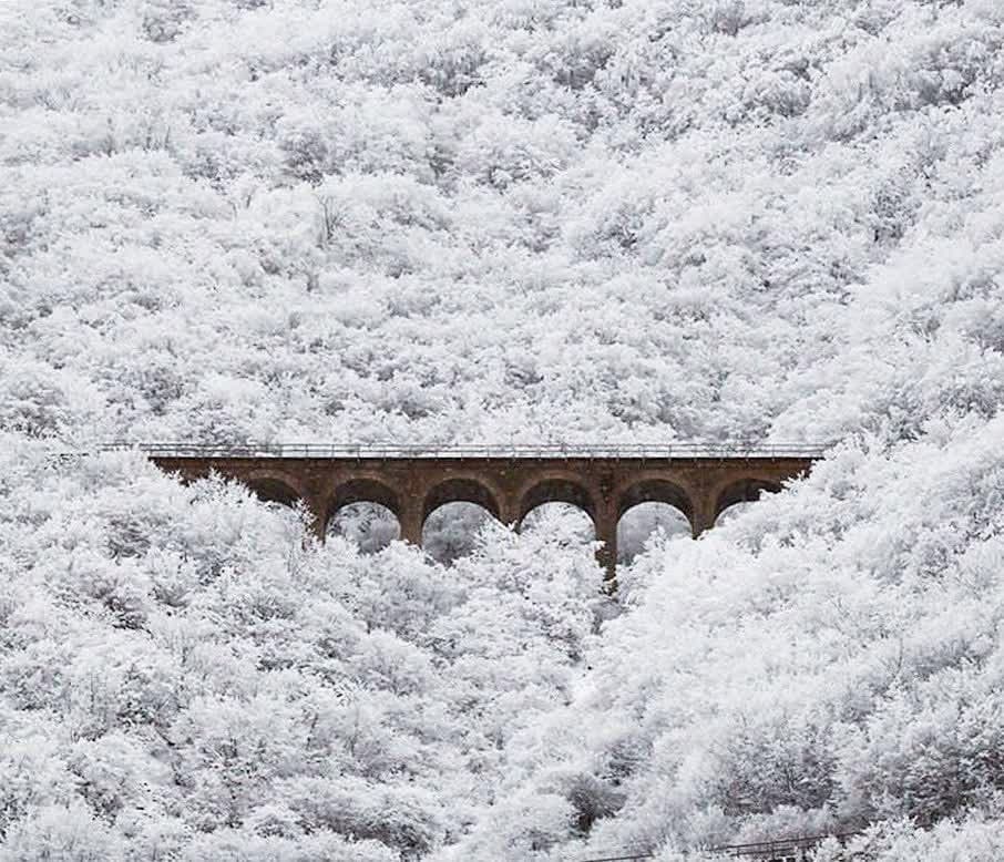 snow bridge token image