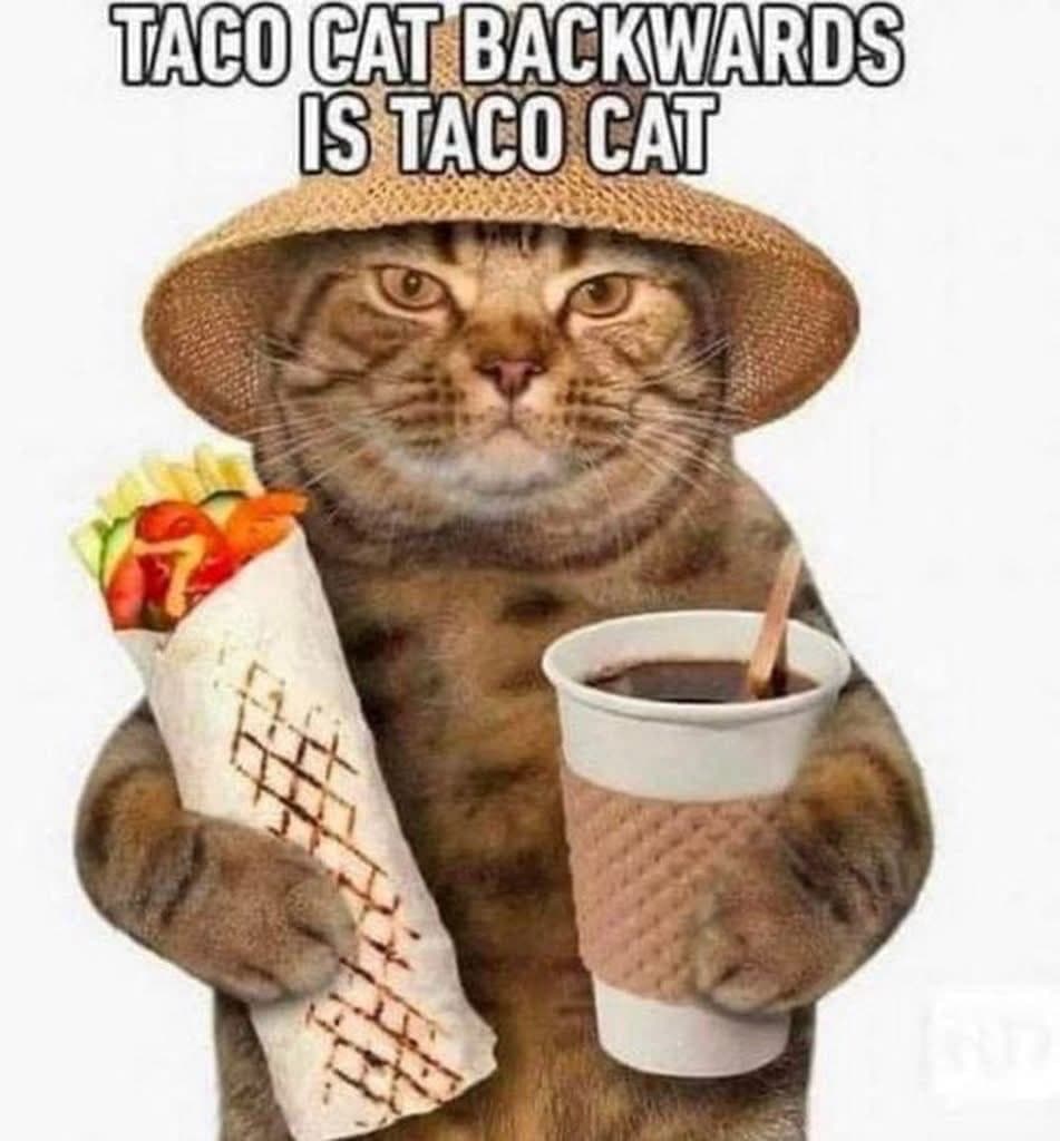 TACOCAT token image