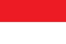 INDONESIA token image