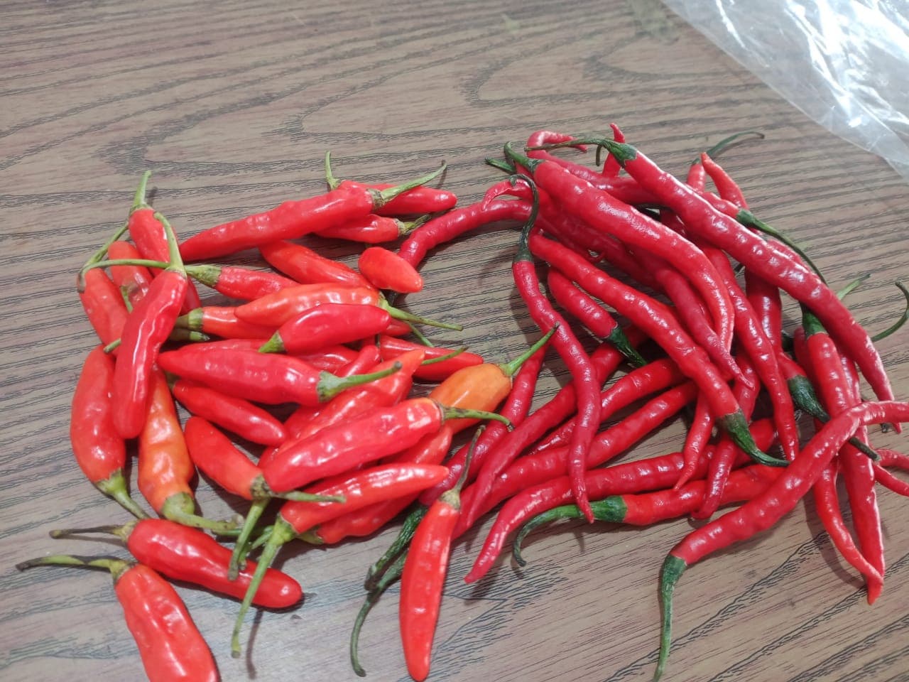 HOT CHILLI token image