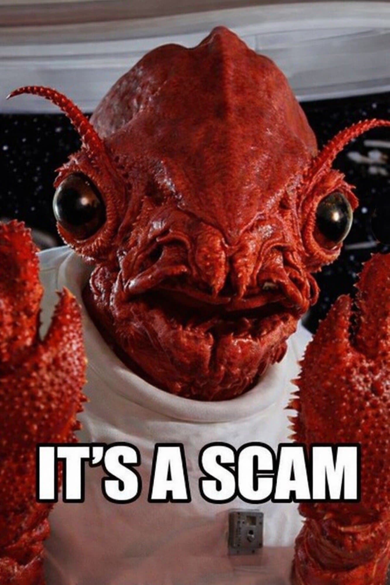 losbscam token image