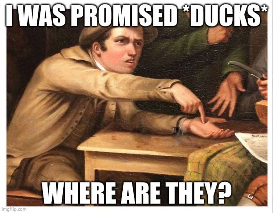 Du(san)cks token image