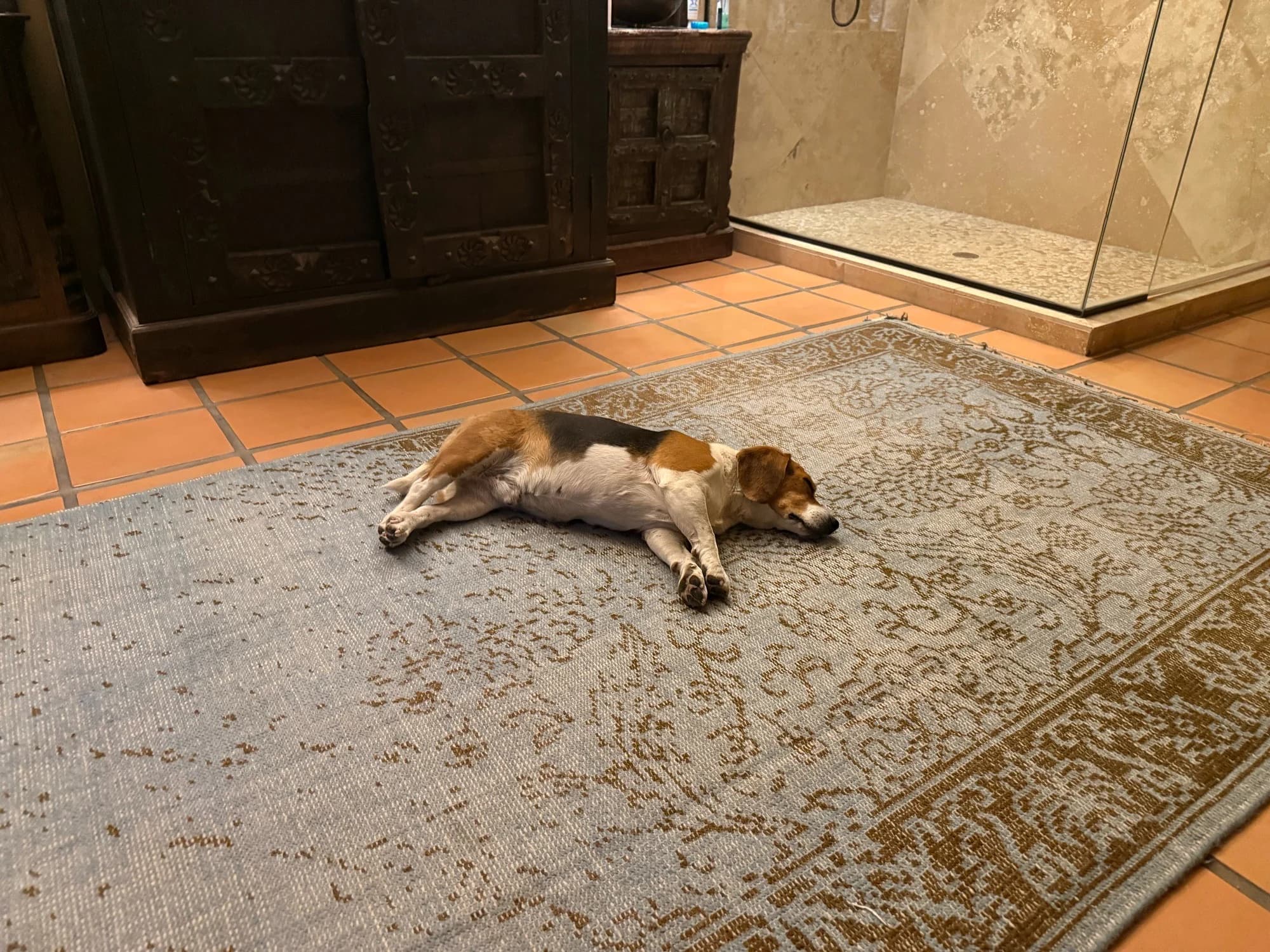 Doggie token image