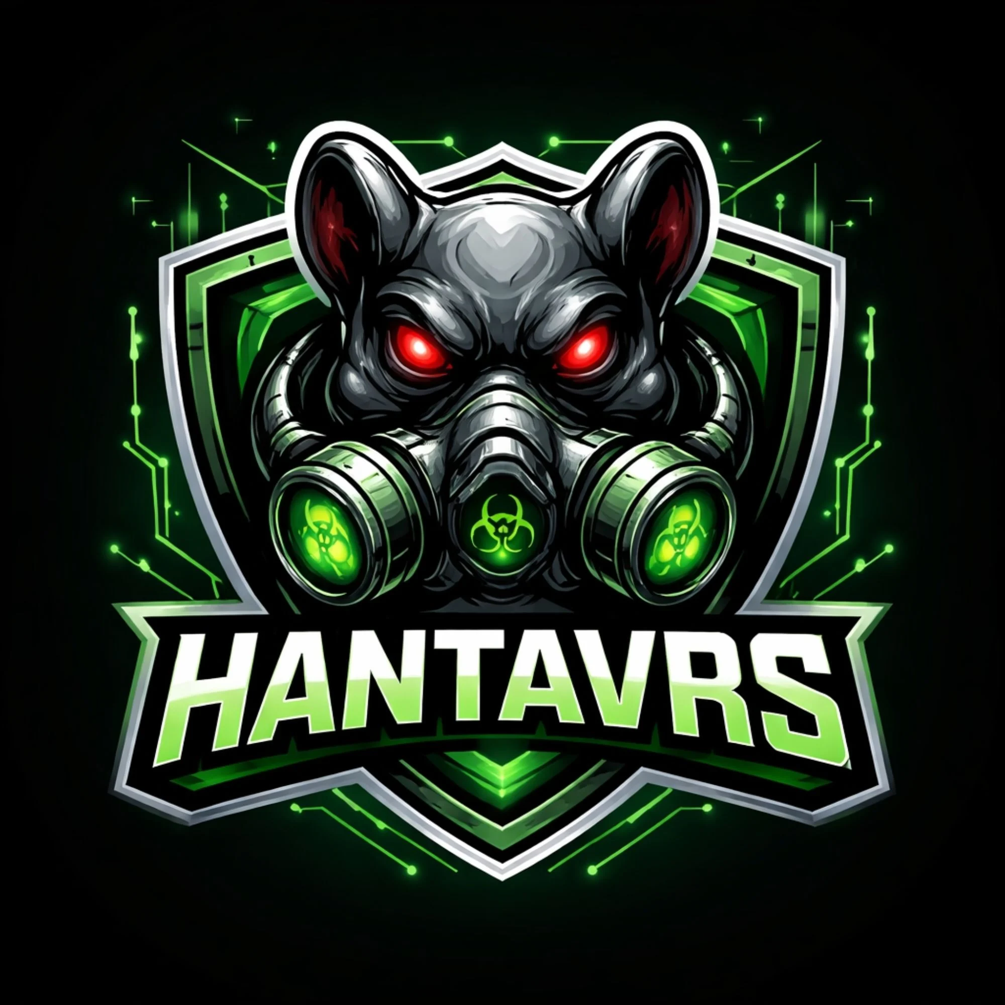 Hanta Virus token image